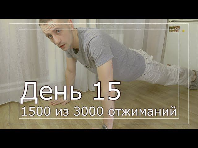 День 15. 3000 отжиманий за 30 дней смотреть онлайн