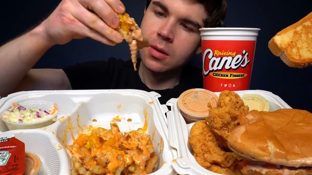 ASMR MUKBANG EXTRA CANES SAUCE CHICKEN ANIMAL STYLE IN-N-OUT BURGER & FRIES | WITH CHEESE