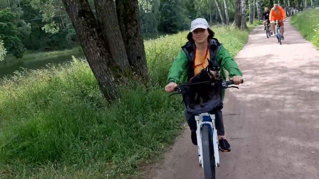 Самосохранение (4.07.2020). Петергоф. Собака.