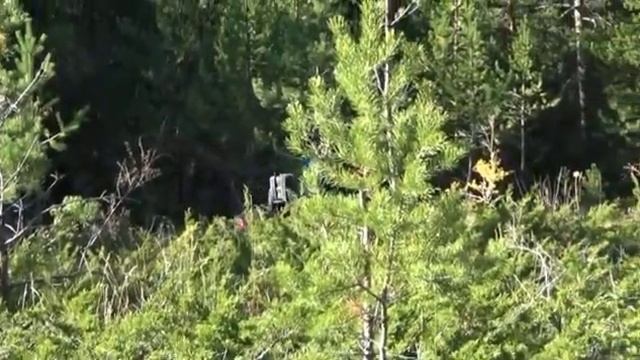 Лайтовая поездка на квадроциклах. Каркаралинск смотреть онлайн