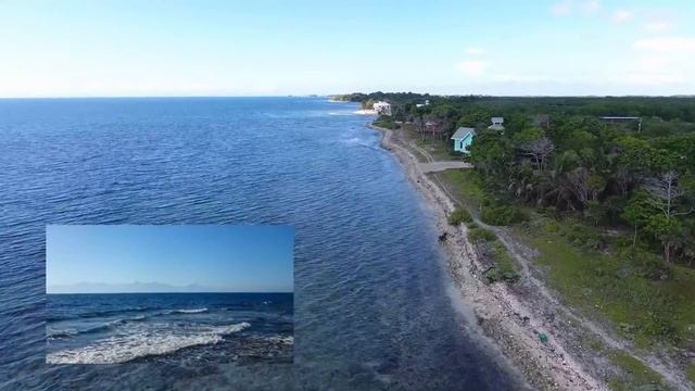 Pretty Bush, Utila смотреть онлайн