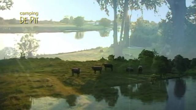 Camping De Pit смотреть онлайн