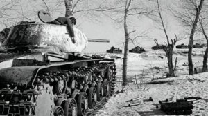 Сергей Васильев  " Белая берёза ". Читает Ахметова Карина