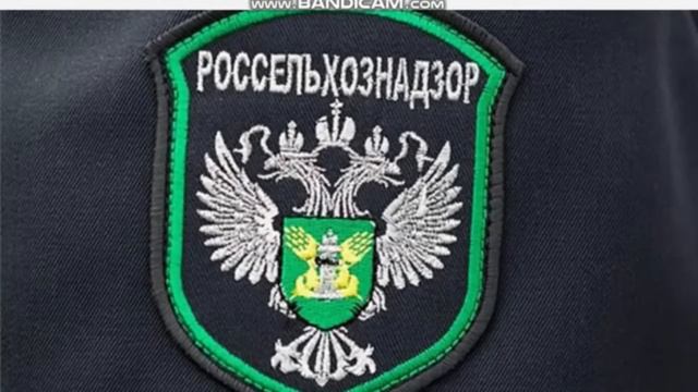 Ольга Быкова дарит молоко! Деревенский дневник очень многодетной смотреть онлайн