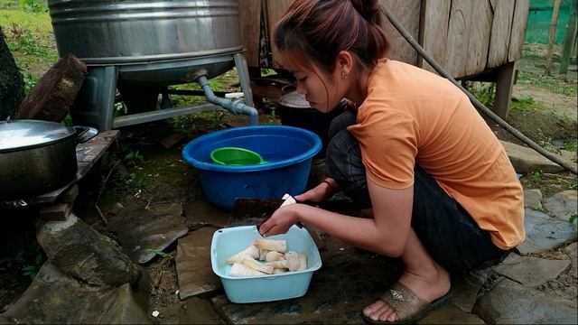 Harvesting Bamboo Shoots And Dishes From Bamboo Shoots - Pork Ribs Cooked With Bamboo Shoots