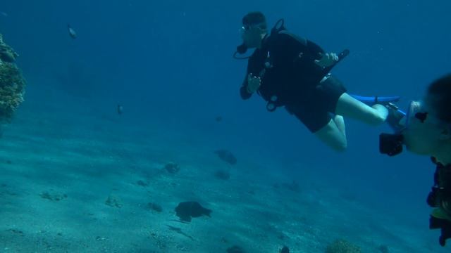Дайвнг в Красном море 4 смотреть онлайн
