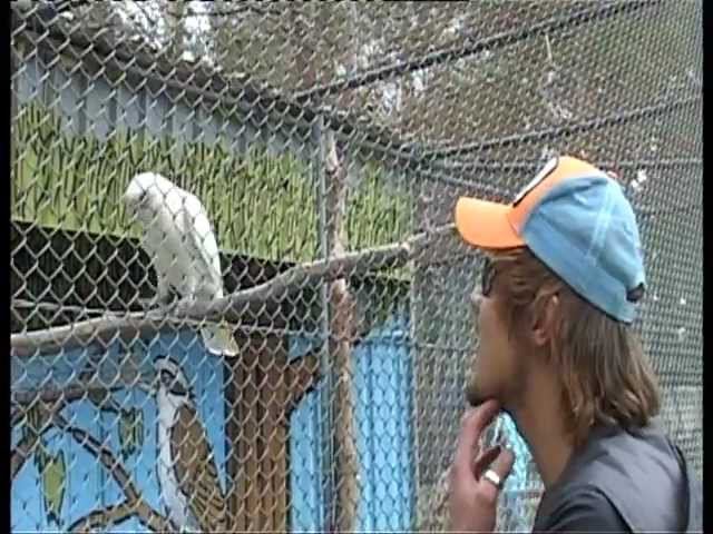 Дима Билан - Австралия, заповедник смотреть онлайн