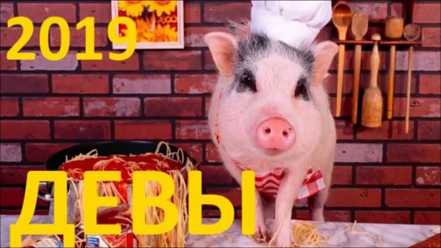 Прогноз на 2019 год. смотреть онлайн