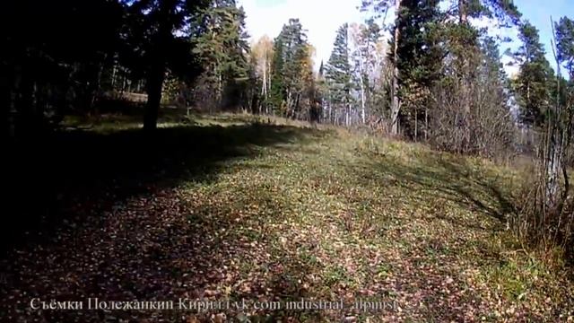 Прогулка по солонцам. Лосиные солонцы