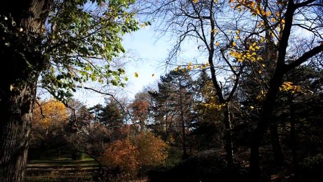 ОСЕНЬ РОССИИ ЗОЛОТАЯ ОСЕНЬ Osen смотреть онлайн