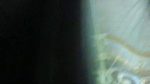 Что делать, если ваша рыба ЛЕЖИТ и НЕ ДВИГАЕТСЯ ?