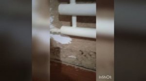 выравнивание стены из самана.