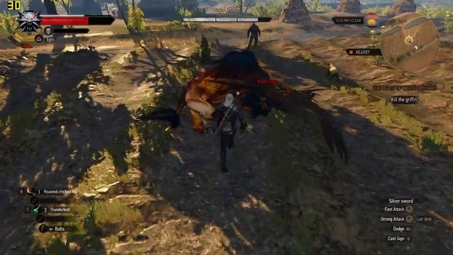 The Witcher 3: Wild Hunt gameplay (Intel i5-1135G7 Iris Xe Graphics) смотреть онлайн