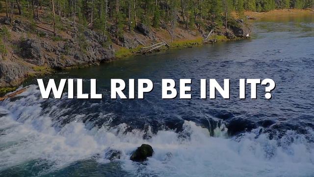 YELLOWSTONE Final Season: Everything We Know