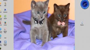 как поставить календарь на рабочий стол