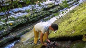 Дагомысские корыта в Сочи.