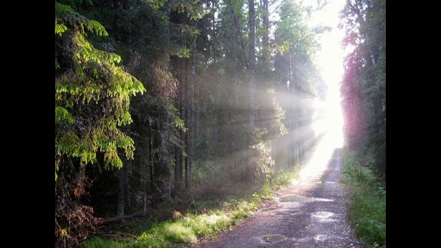 Music Relax,Music Meditation