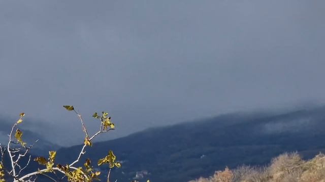 журавли улители и пришла Зима всех с первым снегом смотреть онлайн