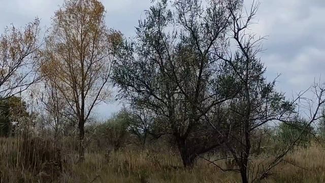 25 декабря народный праздник СОЛНЦЕВОРОТ. СПИРИДОНОВ ПОВОРОТ. Народные приметы и запреты. смотреть онлайн