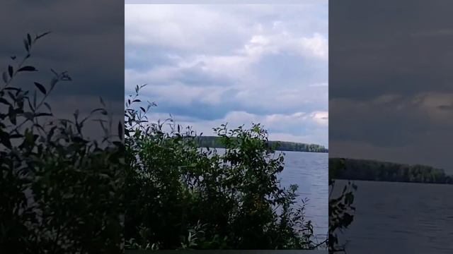 янтарная кислота таблетки для похудения отзывы смотреть онлайн