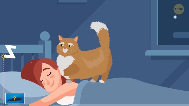 Самые большие сони животного мира и те, кто не спит совсем смотреть онлайн