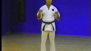 Техника ударов ногами