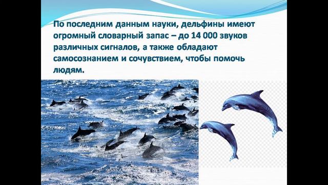 Экологический час с игровыми элементами "Морские обитатели планеты" смотреть онлайн