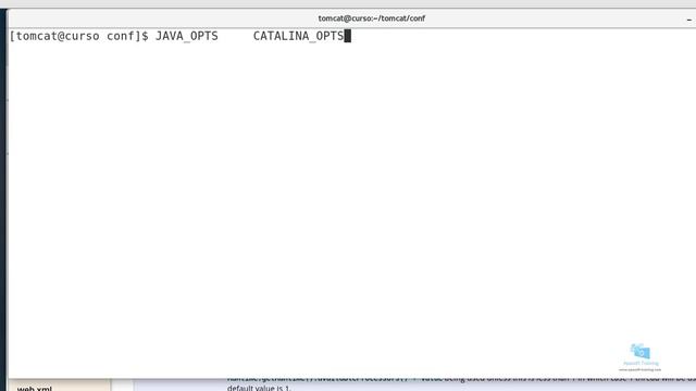 Curso Tomcat 9: configurar CATALINA_OPTS смотреть онлайн
