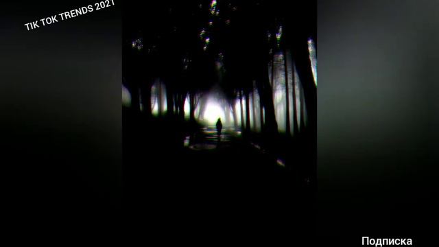 ТРЕНДЫ ТИК ТОК 2021 | ТАНЦУЙ ЕСЛИ ЗНАЕШЬ ЭТИ ТРЕНДЫ | TIKTOK TREND 2021 | ПЕСНИ ИЗ ТИК ТОКА. смотреть онлайн