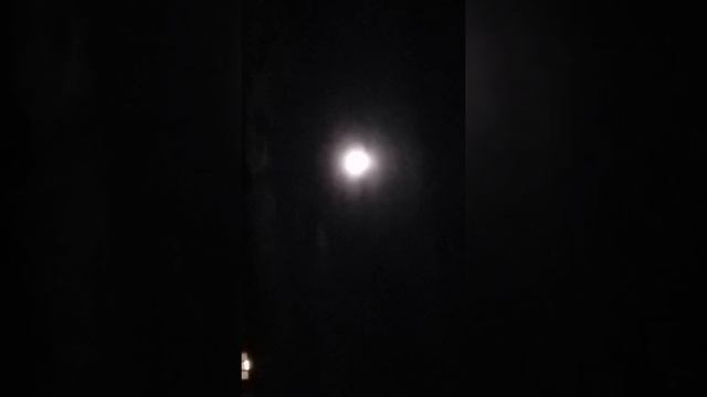 Заказали роллы,ждём,кушаем. смотреть онлайн