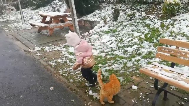 Первый снег в Стамбуле! Ура! Элис кормит Рыжего смотреть онлайн