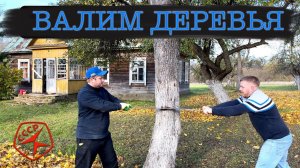 Опасное удаление деревьев возле дома. Готовлю шашлык из СССР в тандыре на ёлке #хочувдеревню #хутор