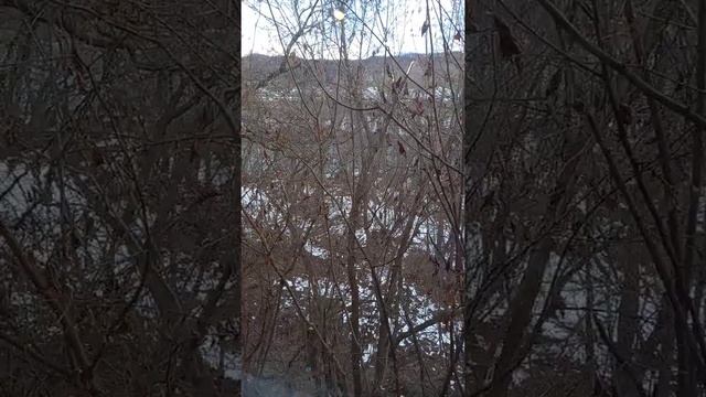 Хорошая баня на Кавказе смотреть онлайн