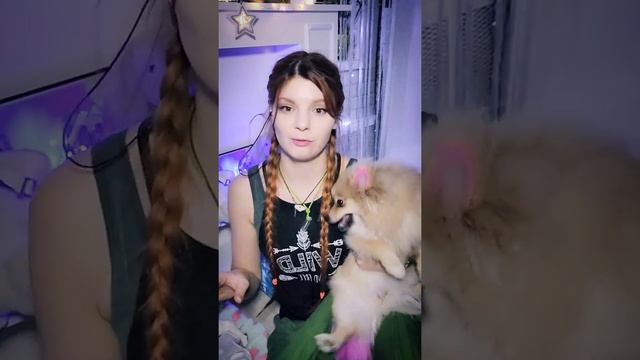 как научить собаку играть в Ладушки смотреть онлайн