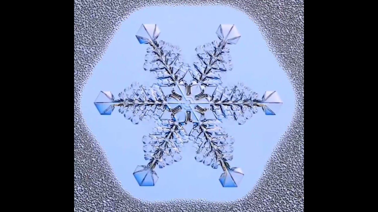 ❄️ смотреть онлайн