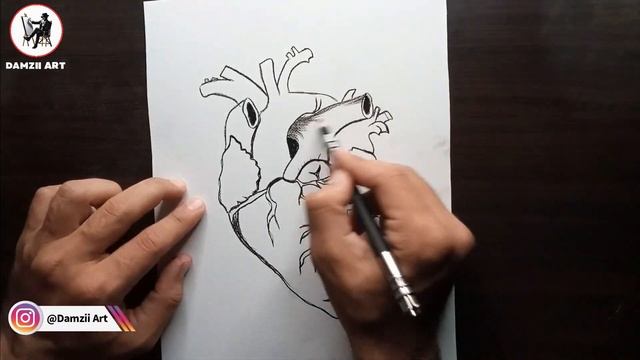 The Heartbeat of Life | Sketching the Intricate Human Heart | Heart Sketch | @DamziiArt | 77 смотреть онлайн
