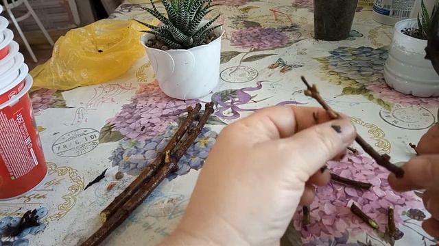 Весенняя обрезка гортензии смотреть онлайн