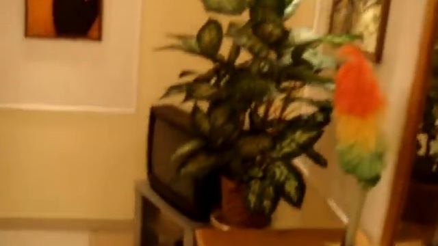 КУПИТЬ2-к.квартира у моря с ремонтом Ялта+79780964998 смотреть онлайн