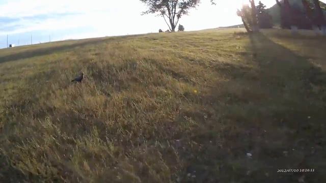 copter смотреть онлайн