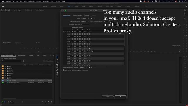 Proxy Export – The selected preset does not support the audio channel type | Quick fix смотреть онлайн