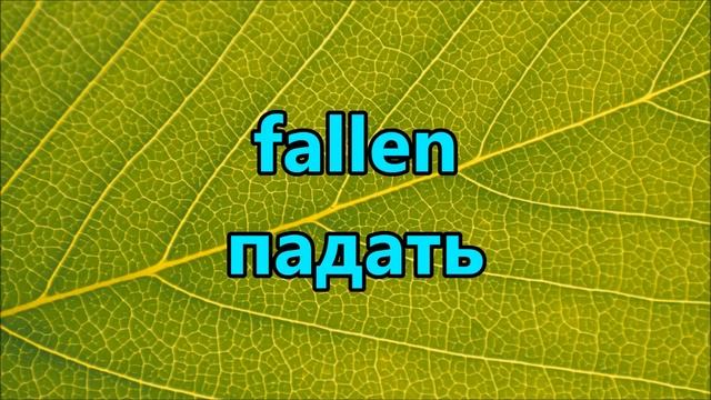 САМЫЙ ВАЖНЫЙ СБОРНИК НЕМЕЦКИХ ГЛАГОЛОВ С НОСИТЕЛЕМ НЕМЕЦКОГО ЯЗЫКА смотреть онлайн