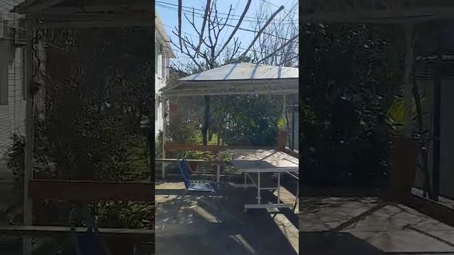 Отдых 2025 В Абхазии