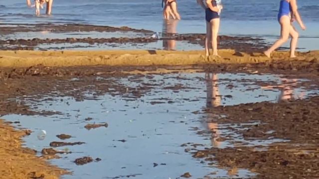 Вот как выглядит гниющее море в Анапе(Витязево) / Юговик смотреть онлайн