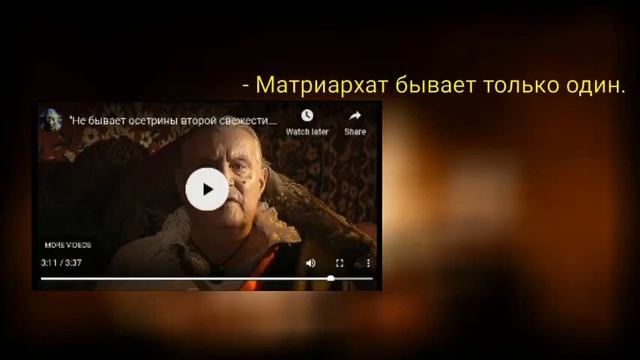 Бытовой матриархат - новое в социологии от Е.Шульман смотреть онлайн