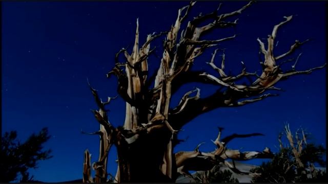 Adriano Celentano - Ti Penso e Cambia Il Mondo (HD) смотреть онлайн