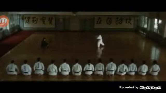 The Street Fighter's Last Revenge 1974 Kungfu Karate Movie
