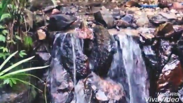 Зоологический Справочник