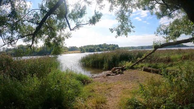 20.08.22 на берегу Истры в д.Татищево смотреть онлайн