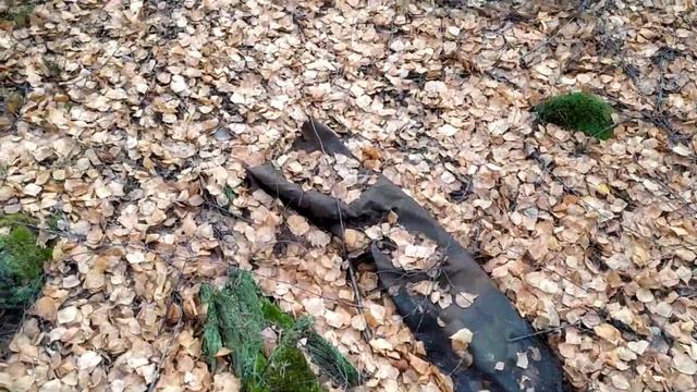 Экскурсия по болотам и коп. Прекрасный октябрьский денек. смотреть онлайн