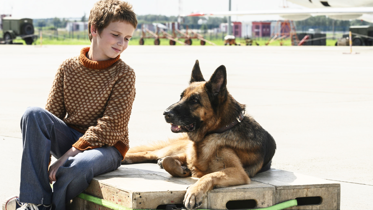 СМОТРИМ! Семейный фильм "Пальма" - 3 ЯНВАРЯ В 11:55 на канале РОССИЯ 1 смотреть онлайн